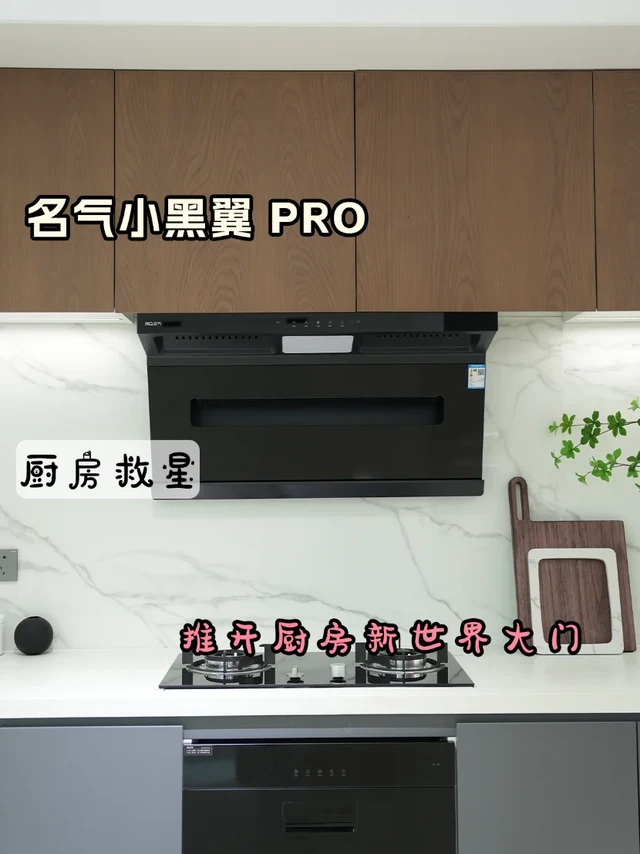 🔥名气小黑翼 PRO，厨房救星实锤啦！