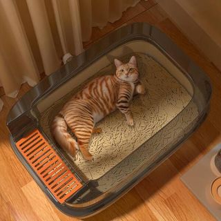 HELLOJOY猫砂盆：改变生活的猫咪神器