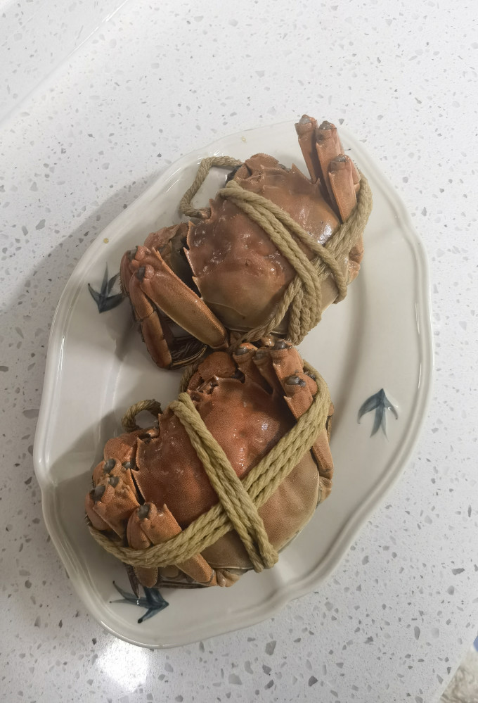 蟹状元蟹类
