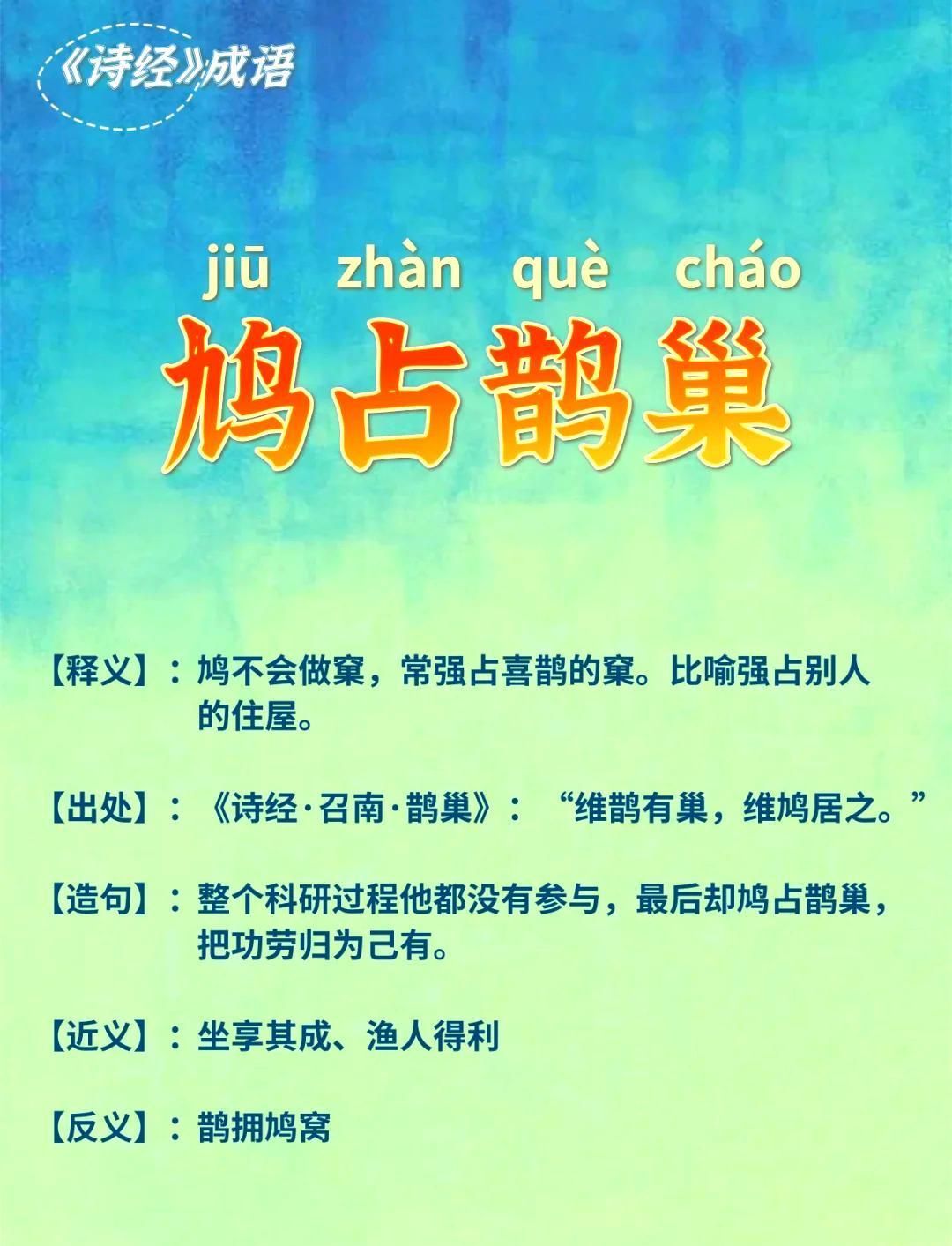 《诗经》成语故事:鸠占鹊巢🌳