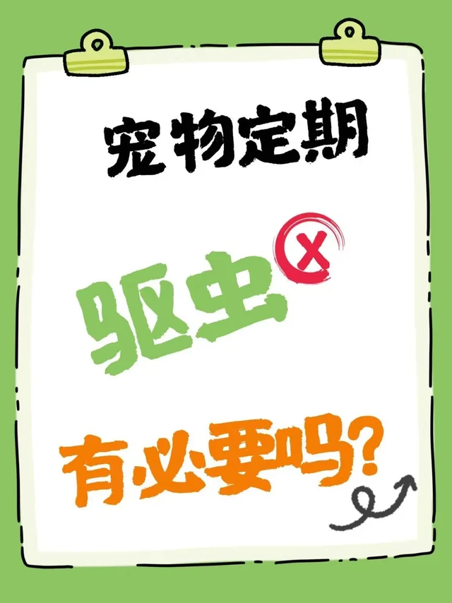 🐱宠物驱虫，有必要吗❓