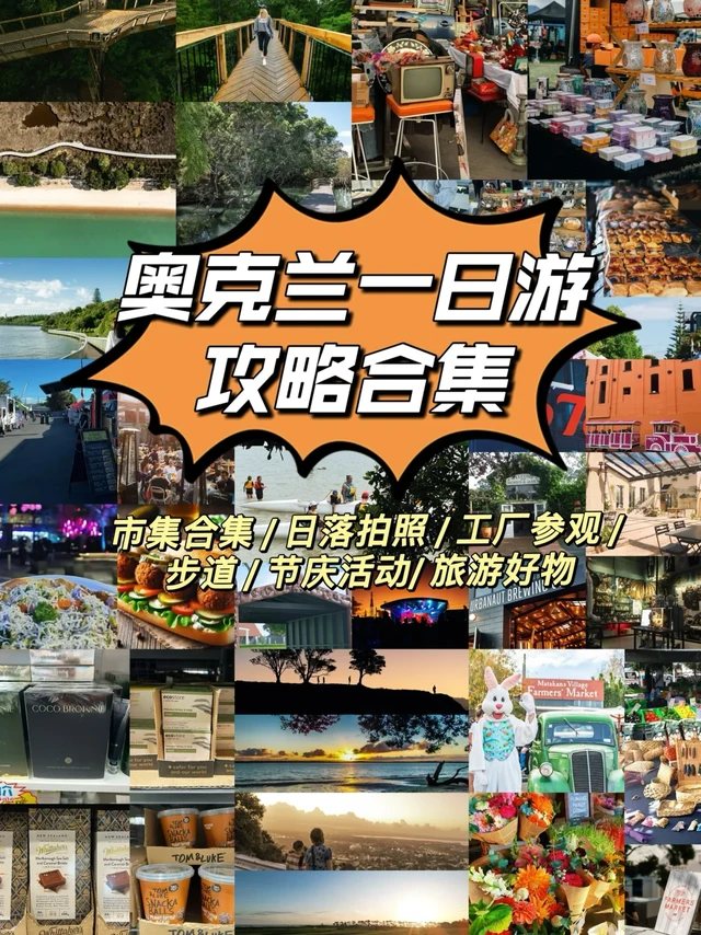 奥克兰一日游攻略合集