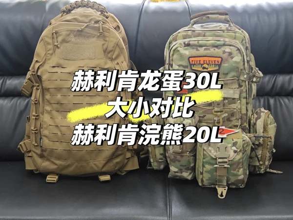 赫利肯龙蛋与浣熊的大小对比