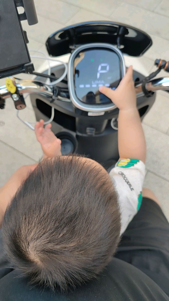 立马电动车电动车整车