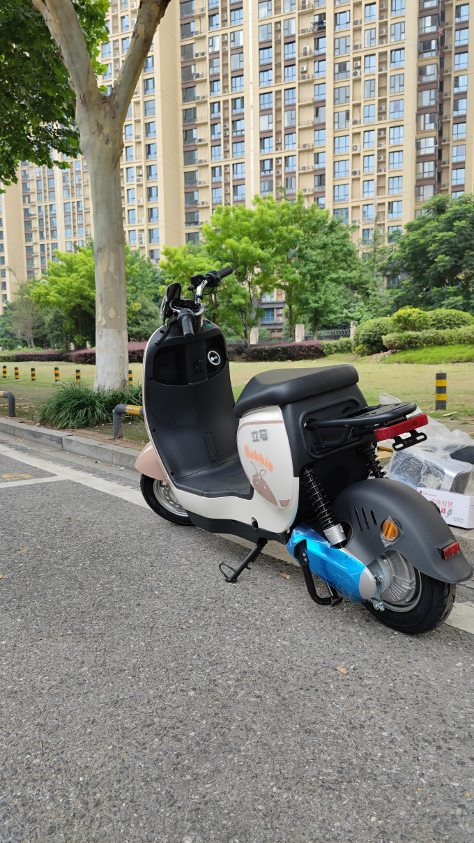 立马电动车电动车整车