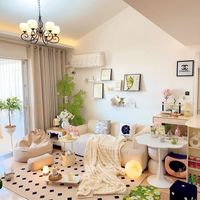 百元打造「居家小森林」：科学降温与视觉欺骗全指南（下）