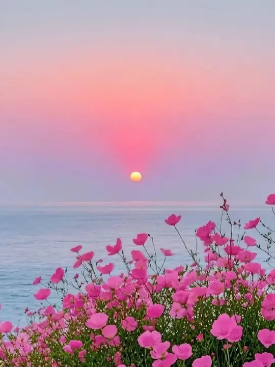 好像当妈的都会比较焦虑一些，特别是有孩子的，刚搬新家，一到夏天我就特别焦虑 害怕甲醛超标，还好买了这个机器 检测甲醛速度快 测一下放心多了👍#甲醛检测  #甲醛治理