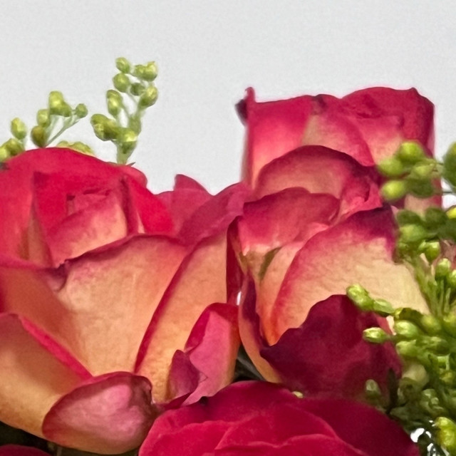 弹簧呼啦圈：健康塑形新宠，轻松打造迷人曲线