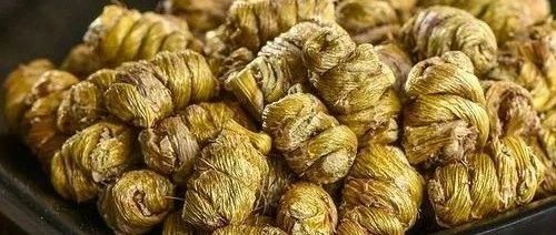 三种人不能吃铁皮石斛：吃错会带来的隐患，看看你属于哪类人