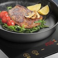 电磁炉十大公认品牌排行榜分享：热卖优质爆款哪个牌子好？
