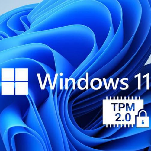 微软急了！恐吓用户升Win11，结果有12%的人连系统版本都不晓得