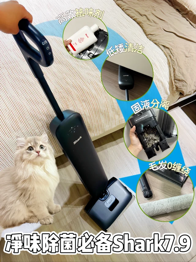 家里“猫味”被Shark这台洗地机搞定了！