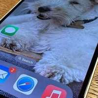 库克终于妥协，iPhone16e提前跌至“清仓价”，一步到位用六年
