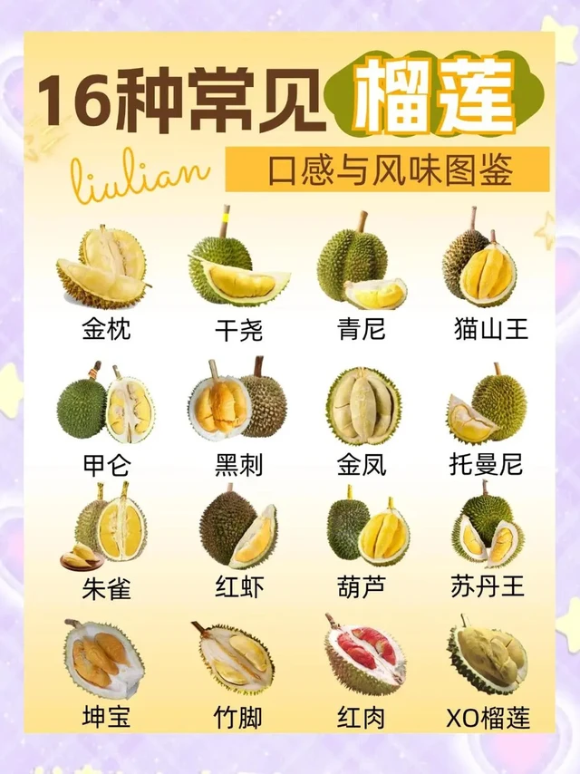 榴莲控必看！16种榴莲口感与风味图鉴！