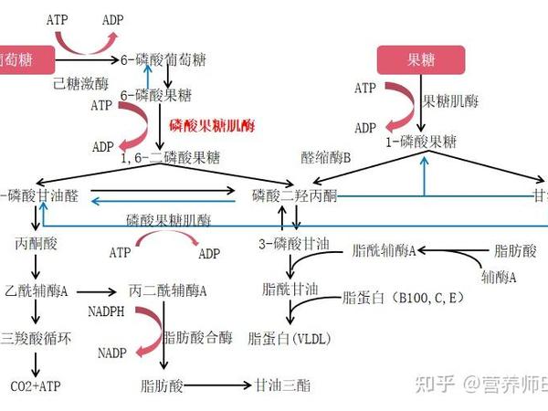 日常养肝好方法有哪些？