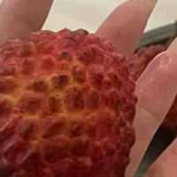 端午奢享！山姆大叔海南火山荔枝王巨无霸礼盒，JD闪送鲜达舌尖

