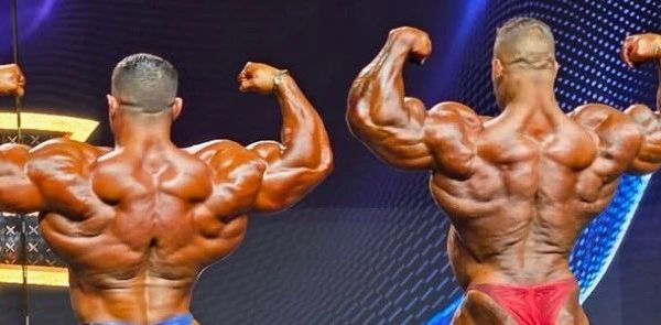 提高品味：优秀的单侧背阔肌器械