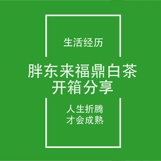 信阳FIRE生活日记23：胖东来福鼎白茶白牡丹开箱分享