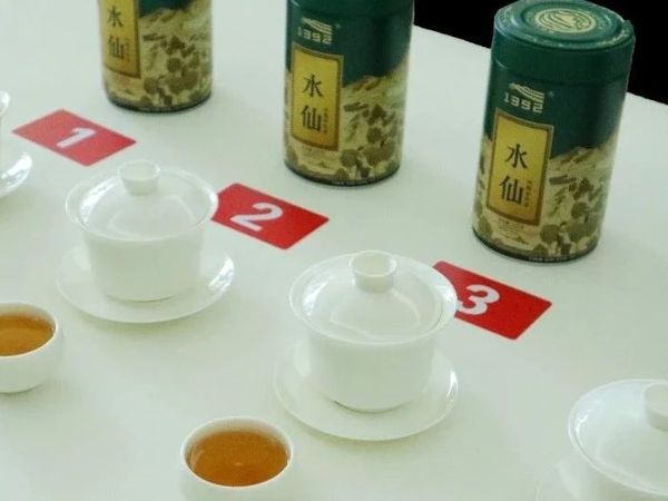 天池凤凰单丛茶水仙多渠道评测