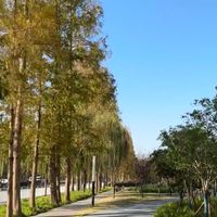 办公神器，讯飞Air2Pro来了
