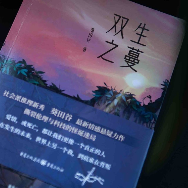 一本让中年老男人深夜沉思的悬疑好书— 《双生之蔓》