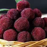 仙居东魁杨梅：夏日食光里的璀璨明珠