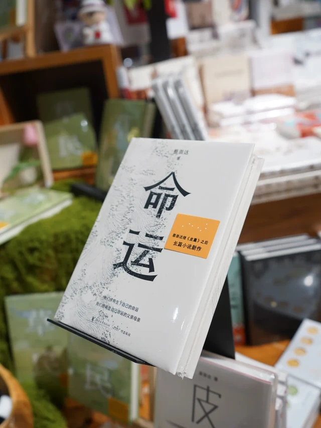 这本写给普通人的命运之书