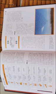 商业思想的视觉革命：DK商业百科如何让经济学说活起来