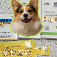 夏季弱鸡肠胃护理常用药物大公开