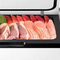 移动迷你冷库：车载冰箱评测