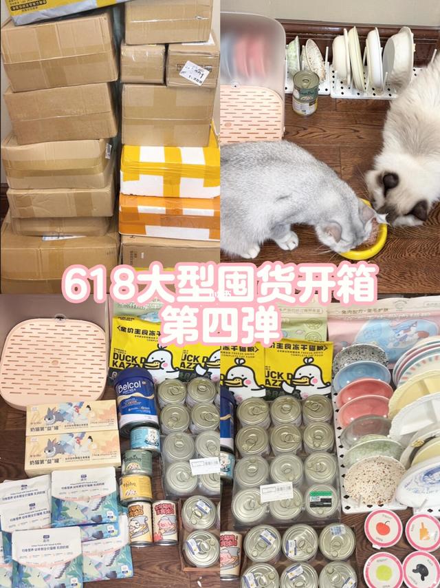养猫人的618囤货开箱（第四弹