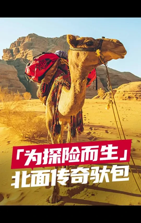 从珠峰大本营到撒哈拉沙漠,为何探险家都用它?#北面驮包 #北面 #BaseCampDuffel