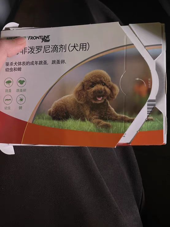 618必囤!福来恩守护小型犬健康