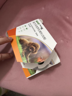 618必囤！福来恩守护小型犬健康