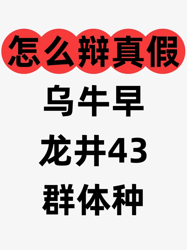 乌牛早、龙井43号、群体种，怎么辨别真假？