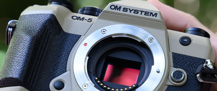 OM-5 Mark II：情怀续命，还是在「躺平」？