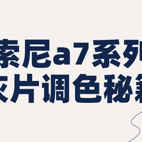 视频剪辑教程 篇零：索尼a7系列灰片调色秘籍：从前期拍摄到后期处理的完整方案