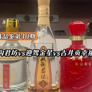 洋河大曲 92年 & 古井貢酒 95年 2本 白酒 中国酒 貴州茅台酒 五粮液 古井贡酒750 毫升- Weee!
