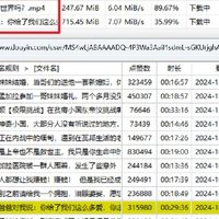 最强下载器，没有之一！