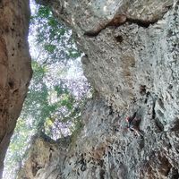 攀岩：高效燃脂与全身锻炼