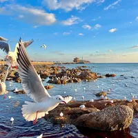 国内度假怎么样 青岛烟台威海日照哪个好玩儿 看这篇🌊_什么值得买