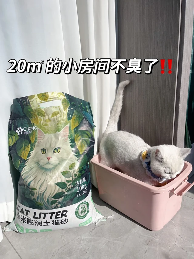 租单间养猫也不怕臭💩了！这猫砂真的能处