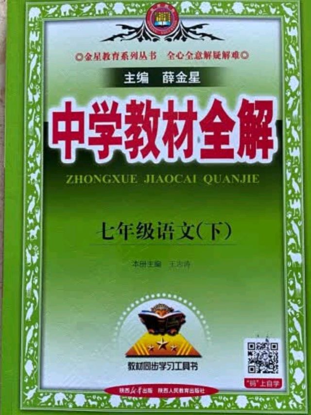 初中教材全解 七年级语文下 2025春 薛金星 同步课本 教材解读 