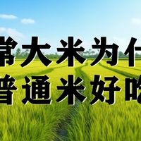 五常大米为什么比普通米好吃
