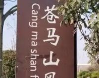 苍马山国际旅游度假区攻略：探秘鲁南山水秘境