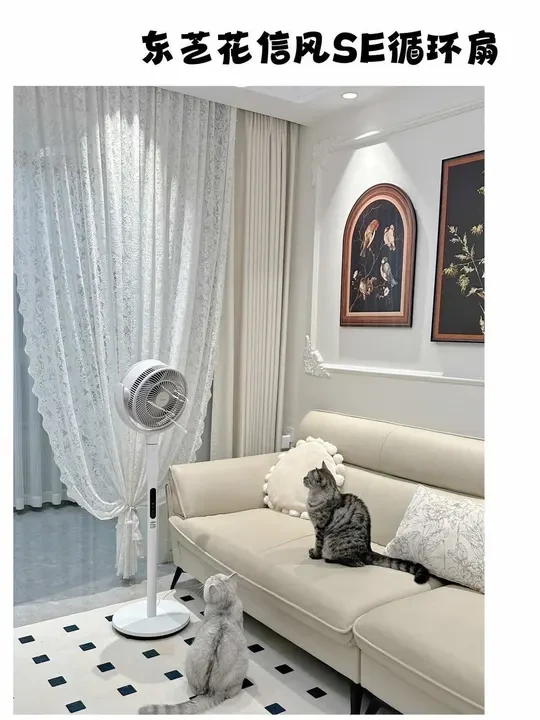 四季都可以用的东芝花信风SE循环扇，不仅可以除醛还能循环室内空气，家家必备#东芝花信风 #东芝循环扇