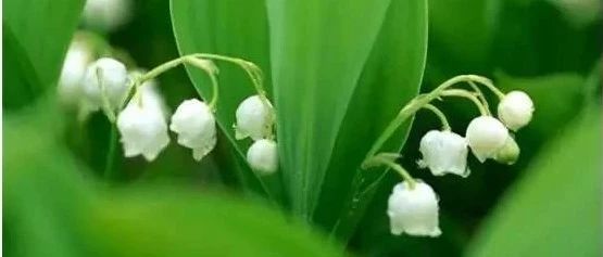 修图师的“第二双眼睛”怎么选？