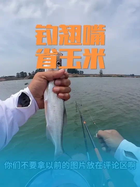 这样钓翘嘴真的可以省很多玉米 #钓鱼人就是这么疯狂 #钓鱼 #翘嘴 #佳钓尼伏魔宗 #2025dou来钓鱼