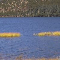 永辉精酿，你尝过吗？