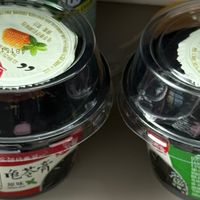龟苓膏也能美味？这款值得一试